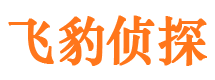 汉寿侦探公司